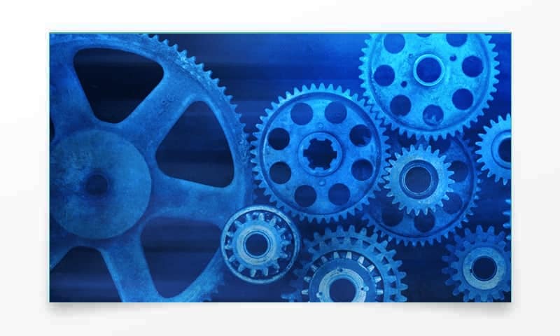 managed support
