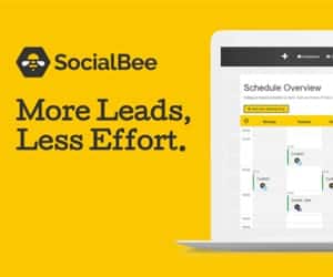 socialbee